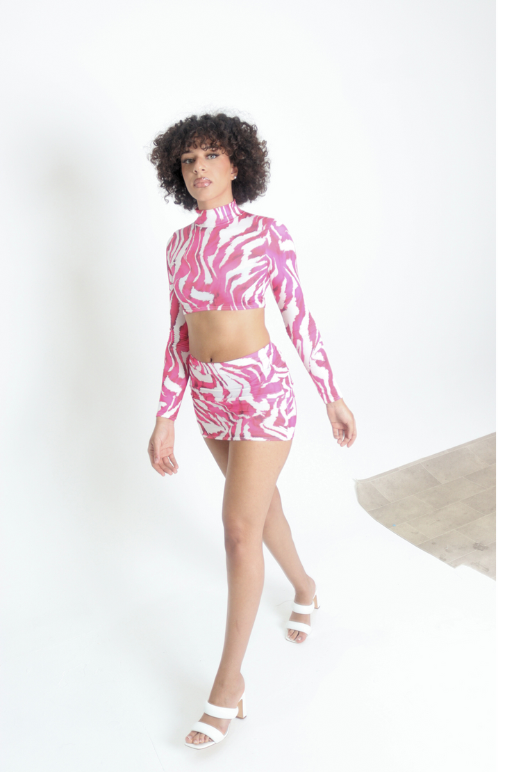 Zebra crop top clearance and skirt